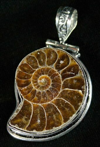 Beautiful Ammonite Pendant #5591